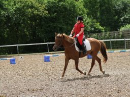 img_4576_web